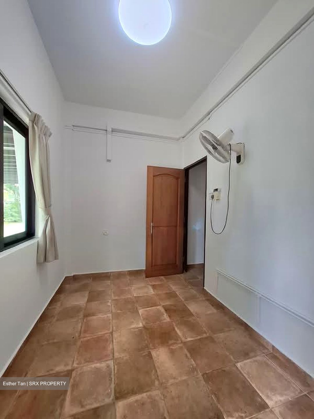 Mount Sinai (D10), Terrace #540256801